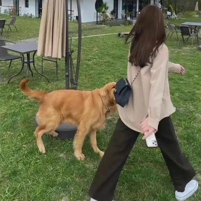 一个国家的诞生